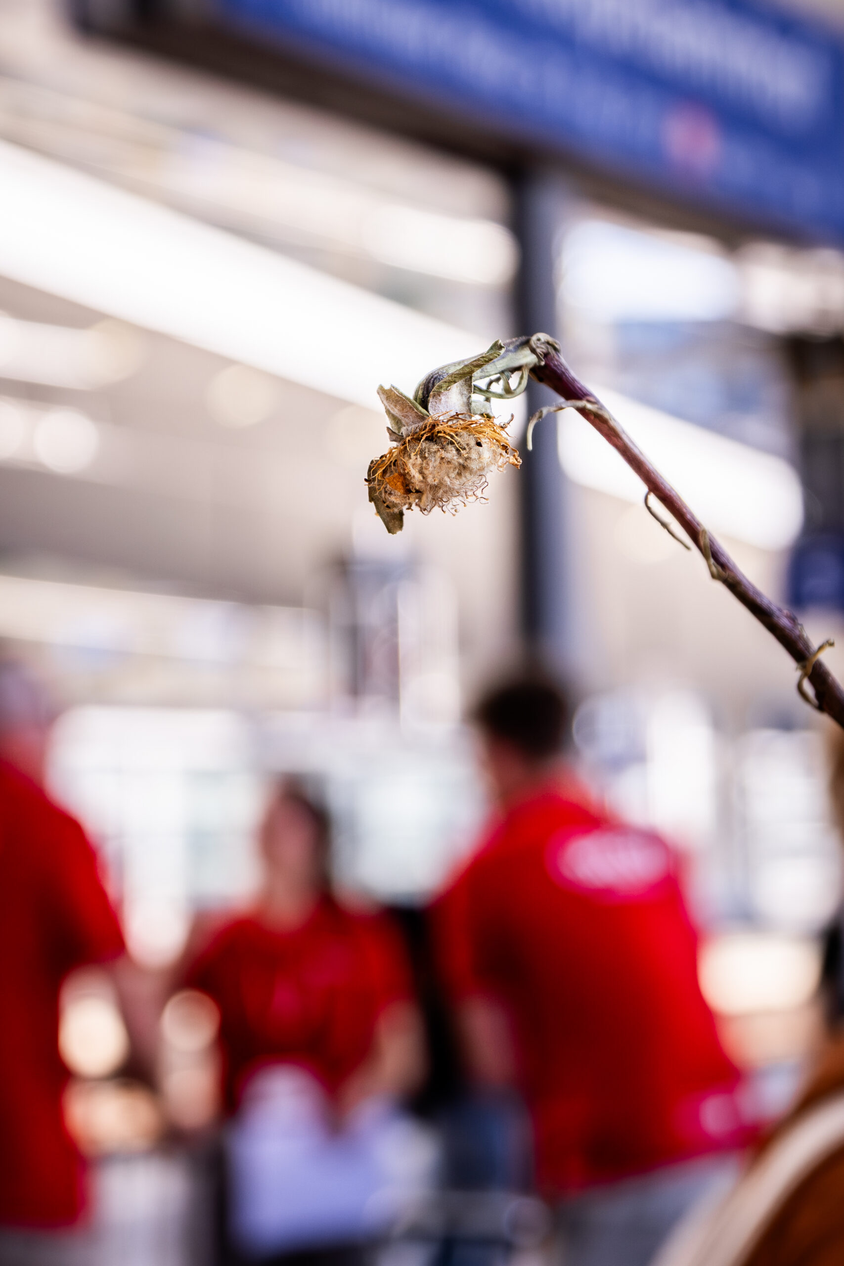 Home dag 5 22 09 25 38